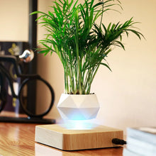 Load image into Gallery viewer, Air Bonsai Pot Rotation Flower Pot