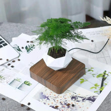 Load image into Gallery viewer, Air Bonsai Pot Rotation Flower Pot
