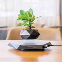 Load image into Gallery viewer, Air Bonsai Pot Rotation Flower Pot