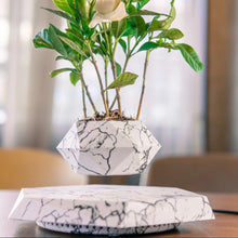 Load image into Gallery viewer, Air Bonsai Pot Rotation Flower Pot