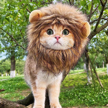 Load image into Gallery viewer, Funny Pet Hat Lion Mane for Dogs Cat Cosplay Dress up Puppy Lion Wig Costume Party Pet Supplies