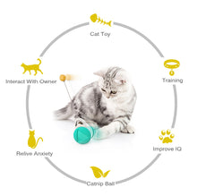 Load image into Gallery viewer, Tumbler Balanced Wheel Swinging Ball Cat Toy