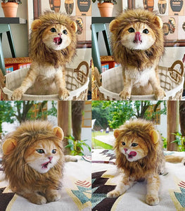 Funny Pet Hat Lion Mane for Dogs Cat Cosplay Dress up Puppy Lion Wig Costume Party Pet Supplies