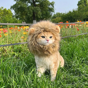 Funny Pet Hat Lion Mane for Dogs Cat Cosplay Dress up Puppy Lion Wig Costume Party Pet Supplies