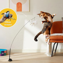 Load image into Gallery viewer, 7pcs/set Interactive Cat Toy Handfree Cat Stick Playing Kitten Playing Teaser Wand Toy Suction Cup Headed Feather Cat Wand
