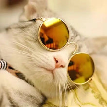 Load image into Gallery viewer, Cute Vintage Round Cat Sunglasses Dog Kitten Cat Accessories for Small Dogs Pet Products Reflection Eyewear Glasses Photos Props

