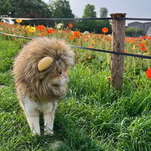 Load image into Gallery viewer, Funny Pet Hat Lion Mane for Dogs Cat Cosplay Dress up Puppy Lion Wig Costume Party Pet Supplies
