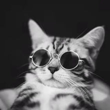 Load image into Gallery viewer, Cute Vintage Round Cat Sunglasses Dog Kitten Cat Accessories for Small Dogs Pet Products Reflection Eyewear Glasses Photos Props
