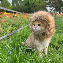 Load image into Gallery viewer, Funny Pet Hat Lion Mane for Dogs Cat Cosplay Dress up Puppy Lion Wig Costume Party Pet Supplies
